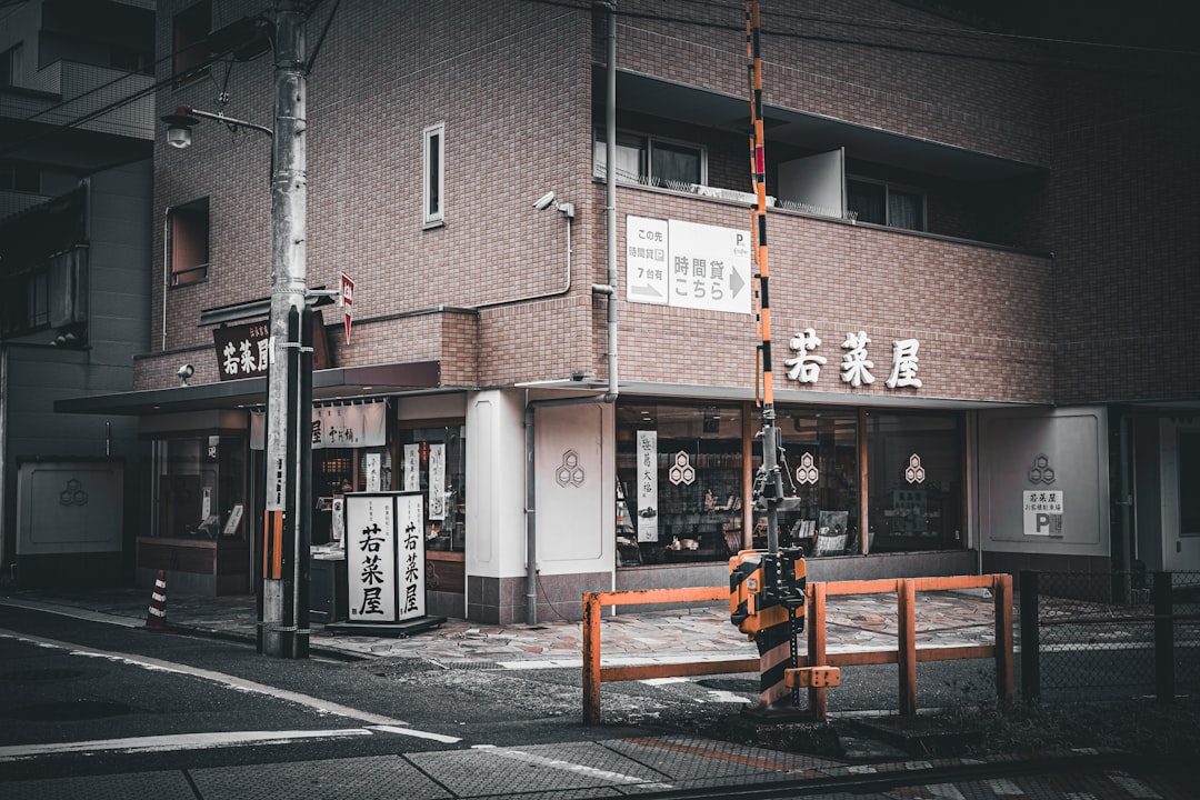Seen in Everyday Life in Tokyo — Vacuum Cleaners