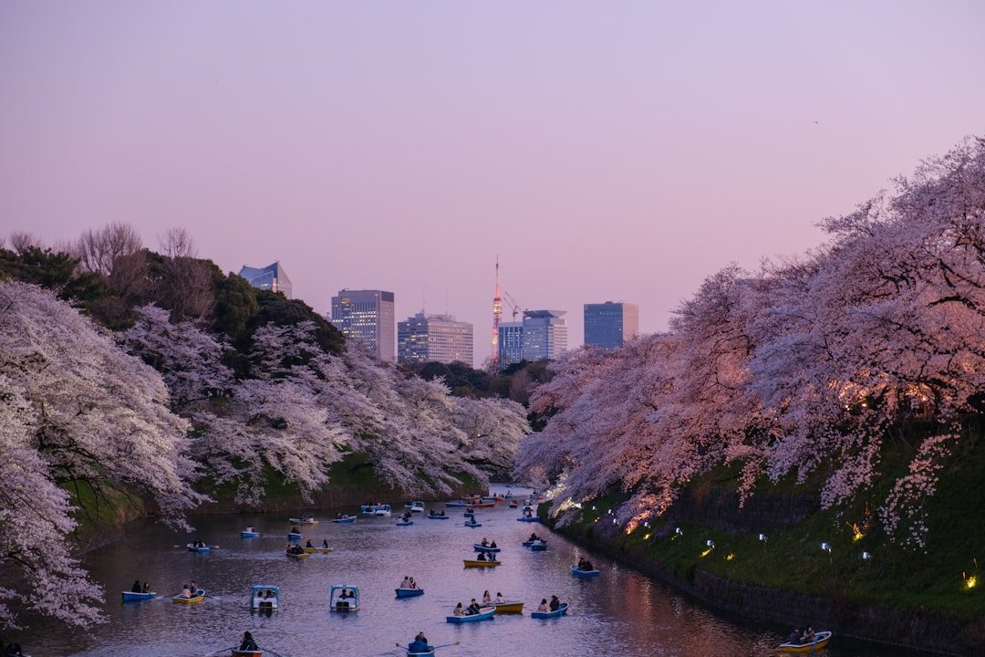 Japanese home with travel japan