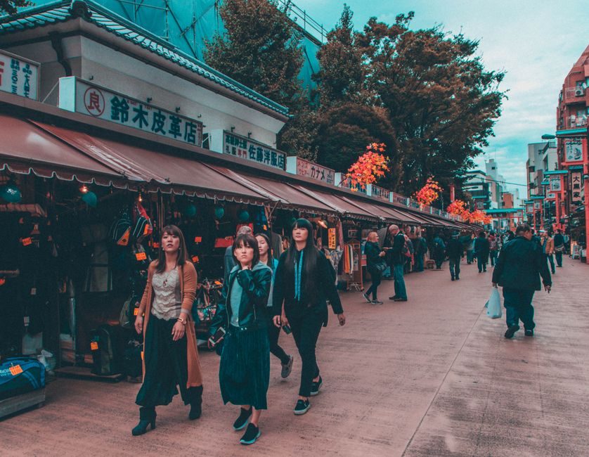 Japanese home with tokyo life