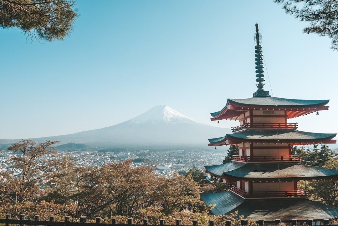 A Real-Life Note from Japan — Hobbies