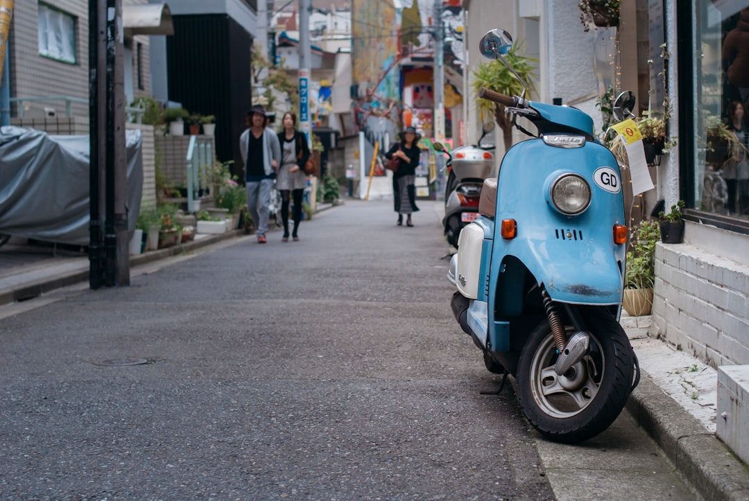 What I Often See in Japanese Stores — Trends & News