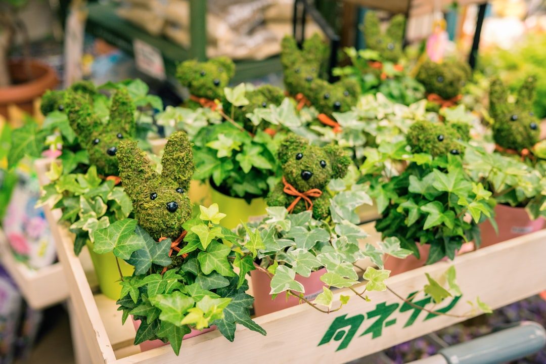 Seen in Everyday Life in Tokyo — Trends & News