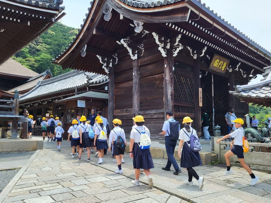 What I Often See in Japanese Stores — Parenting