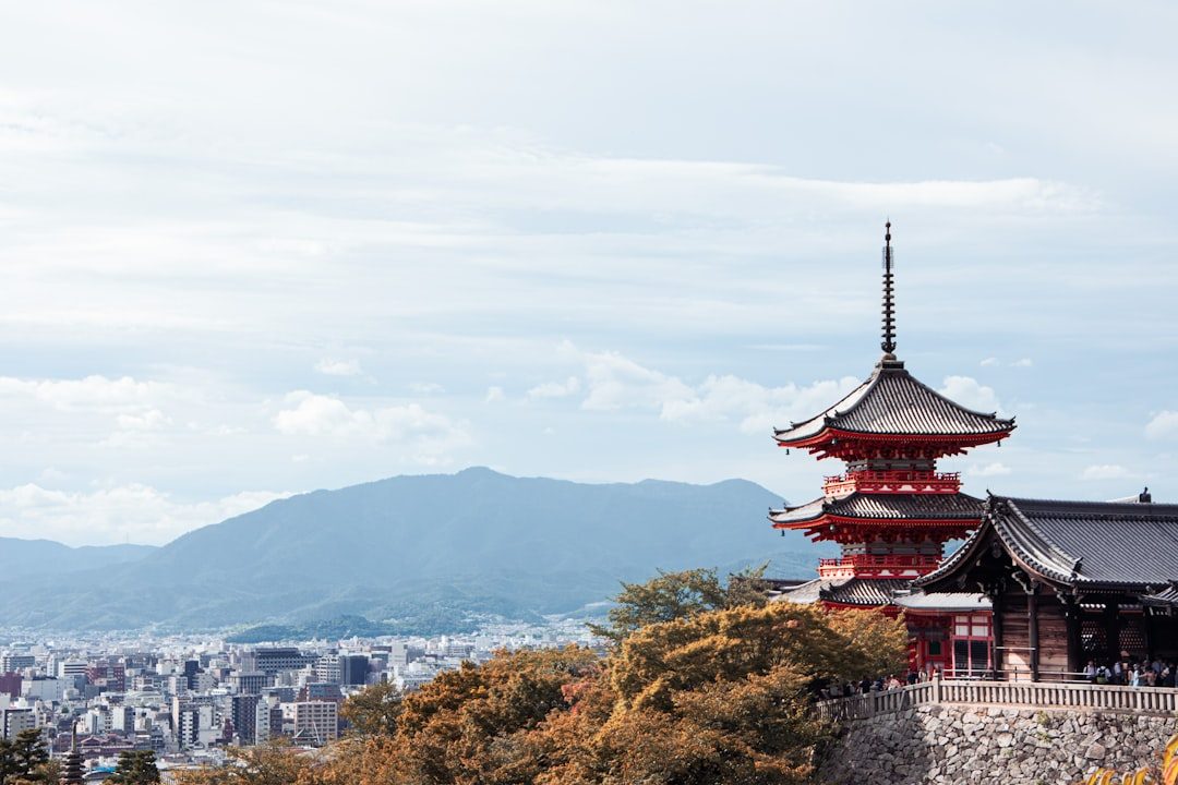 What I Often See in Japanese Stores — Parenting