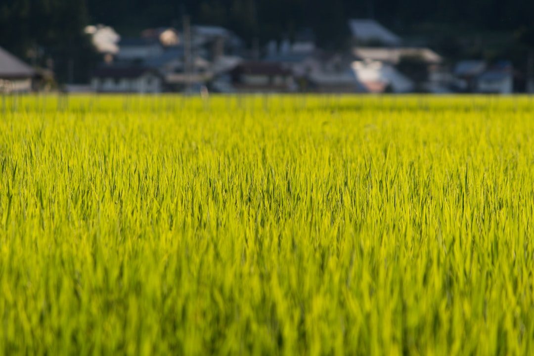 A Real-Life Note from Japan — Trends & News
